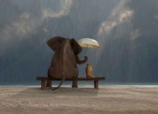 34 Not Especially Random Acts Of Kindness To Try Out Today