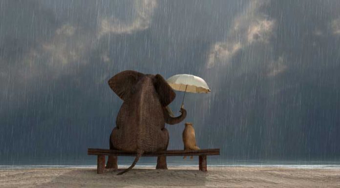 34 Not Especially Random Acts Of Kindness To Try Out Today