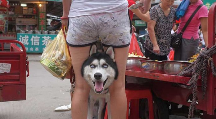 Uncanny Moments on the Streets of China Photographed by Water Meter Reader Tao Liu