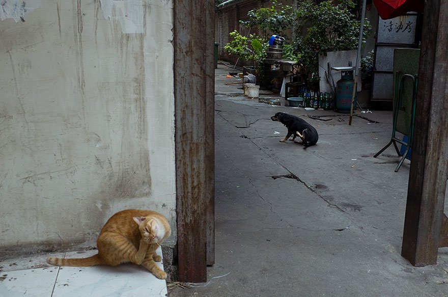 self-taught-perfectly-timed-street-photography-china-tao-liu-26