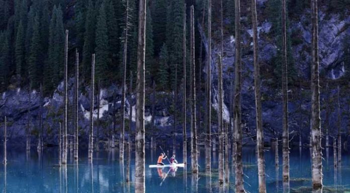 Top 20+ Most Unbelievable – Yet Not Photoshopped Photographs.