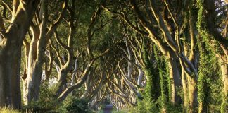 21 Surreal Places In The UK To Add To Your Bucket List