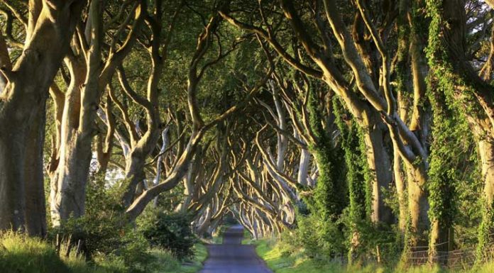 21 Surreal Places In The UK To Add To Your Bucket List