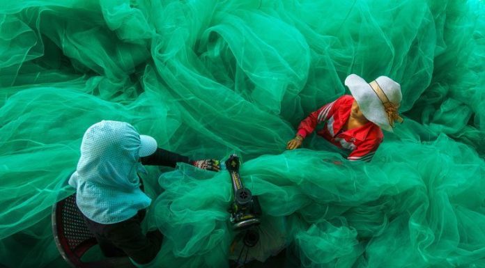 15 Pictures That Will Change The Way You See The World – Smithsonian Finalists