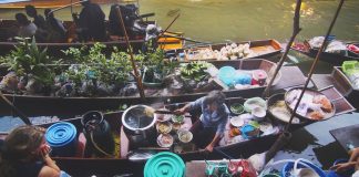 21 Important Life Lessons You Can Learn From Sheeps! We mean it! Food Vacation