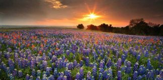 20 Breathtaking Places That Become Even More Beautiful With the Arrival of Spring