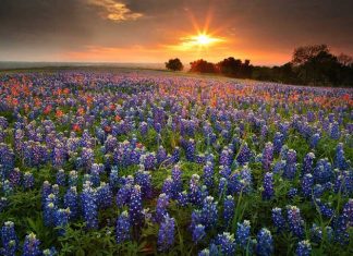 20 Breathtaking Places That Become Even More Beautiful With the Arrival of Spring