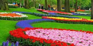 Visit Keukenhof: The most magical Spring Garden in the world