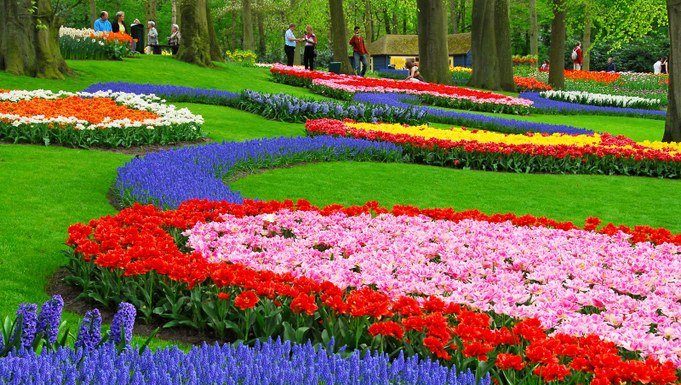 Visit Keukenhof: The most magical Spring Garden in the world