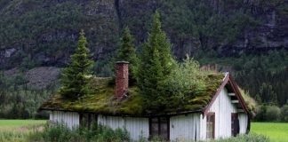 20 Photos Of Nature Winning The Battle Against Civilization