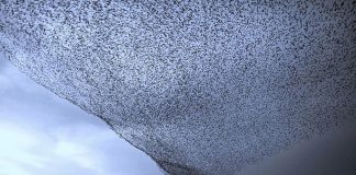 15 Photos in 2015 You Won’t Believe Aren’t Photoshopped