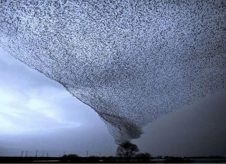 15 Photos in 2015 You Won’t Believe Aren’t Photoshopped