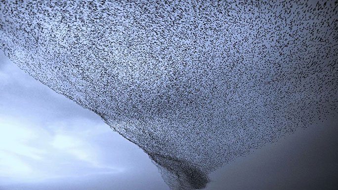 15 Photos in 2015 You Won’t Believe Aren’t Photoshopped