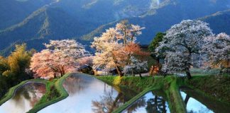 12 Places in the World for Which Nature has not Regretted Colors