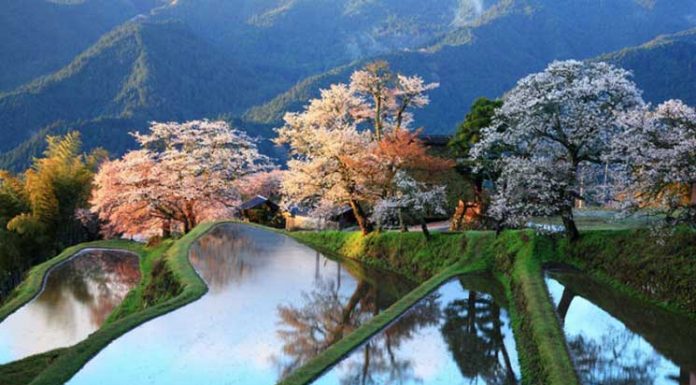 12 Places in the World for Which Nature has not Regretted Colors