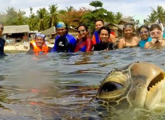 Photographer Helps Squirrel To Stay Dry With A Tiny Umbrella