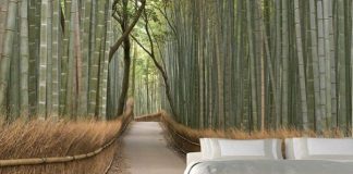 22 Eye-Catching Wall Murals to Buy or DIY