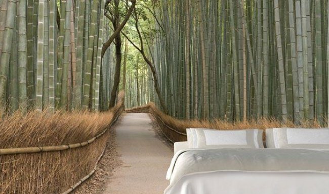 22 Eye-Catching Wall Murals to Buy or DIY