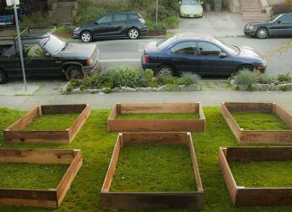 His Neighbors Saw These Boxes On His Lawn… 60 Days Later, He Finished Building THIS
