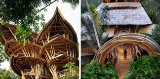 Woman Quits Her NY Job To Build Beautiful, Sustainable Bamboo Homes In Bali