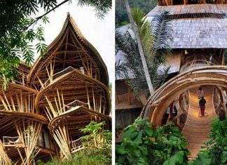 Woman Quits Her NY Job To Build Beautiful, Sustainable Bamboo Homes In Bali