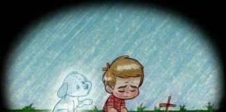 Dogs never die, they sleep in your Heart