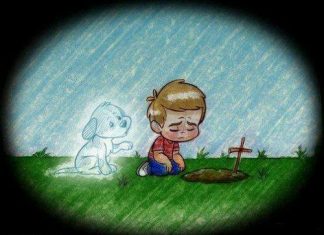 Dogs never die, they sleep in your Heart