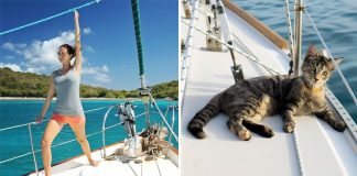 Couple Quits Jobs And Sells Everything To Travel The World With Their Cat