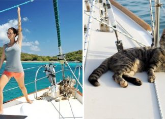 Couple Quits Jobs And Sells Everything To Travel The World With Their Cat