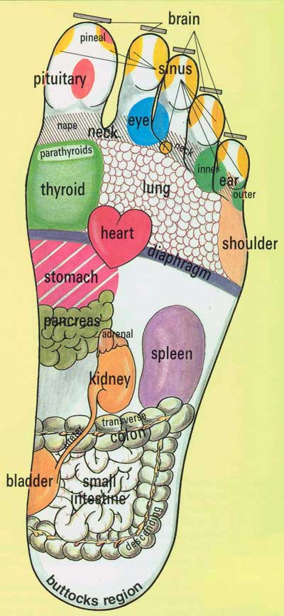foot-chart