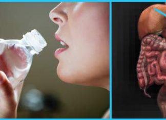 Is Drinking Water While Eating Good For You?