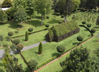 This Guy Spent 4 Years Growing A Church From Trees