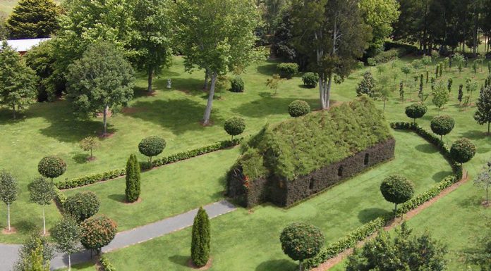 This Guy Spent 4 Years Growing A Church From Trees