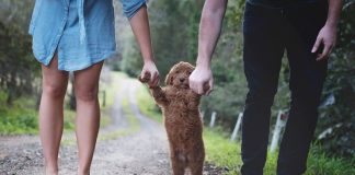 Couple Respond To Tiresome Baby Questions With Photoshoot With Their Dog