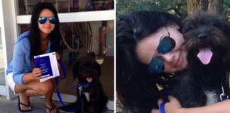 Woman Flies 6,000 Miles And Spends £5,000 To Rescue Stray Dog That Saved Her From Attack