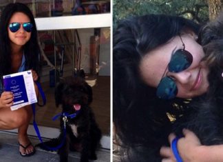 Woman Flies 6,000 Miles And Spends £5,000 To Rescue Stray Dog That Saved Her From Attack