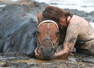 Amazing Woman Spends 3 Hours Clinging To Her Horse As It Sinks In The Mud