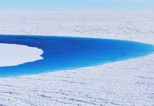 13 Devastating Photos to show your friend who doesn’t believe in climate change.