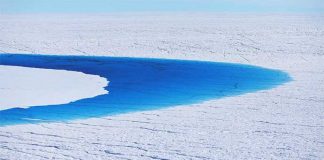 13 Devastating Photos to show your friend who doesn’t believe in climate change.