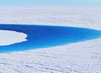 13 Devastating Photos to show your friend who doesn’t believe in climate change.