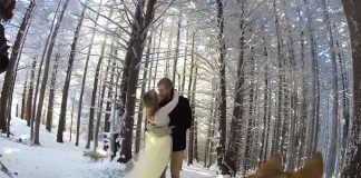 Couple’s Dog Films Their Wedding And The Result Is Better Than Most Wedding Videos