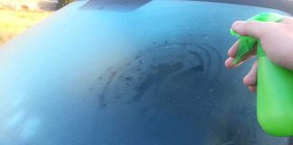 Forget What You Know About De-Icing Your Car, This Simple Trick Melts It Instantly