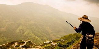 He Chose 3 Loaves of Bread Over His 20 Years Worth of Salary. Best Decision EVER!