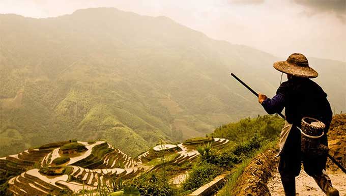 He Chose 3 Loaves of Bread Over His 20 Years Worth of Salary. Best Decision EVER!