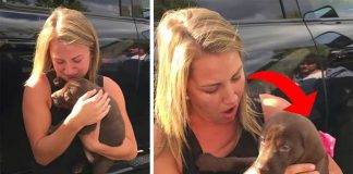 Boyfriend’s Romantic Marriage Proposal Has Been Seen By Millions And I Totally Understand Why.