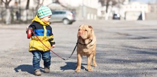 If Your Kids Have Been Asking For A Pet, Here Are 6 Reasons You Should Say Yes