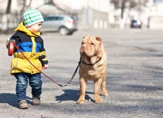 If Your Kids Have Been Asking For A Pet, Here Are 6 Reasons You Should Say Yes
