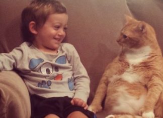 Unwanted Cat Becomes Little Boy’s Guardian And Follows Him Everywhere