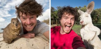 This Man Mastered The Art Of Animal Selfies