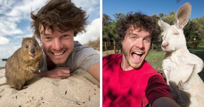 This Man Mastered The Art Of Animal Selfies
